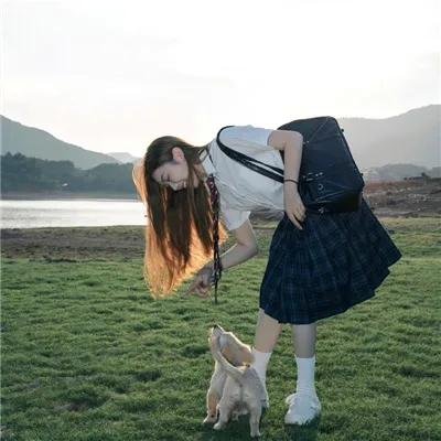 如何与我的猫分手海报